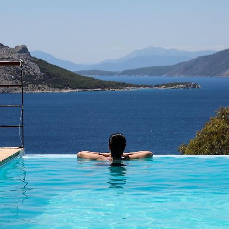 Eucalyptus Villa Αίγινα Εξωτερικό φωτογραφία