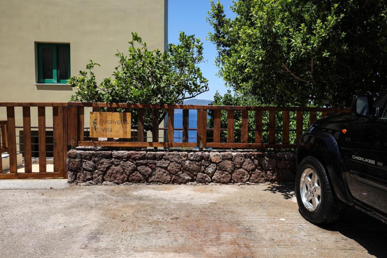 Eucalyptus Villa Αίγινα Εξωτερικό φωτογραφία