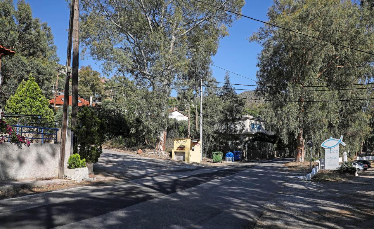 Eucalyptus Villa Αίγινα Εξωτερικό φωτογραφία
