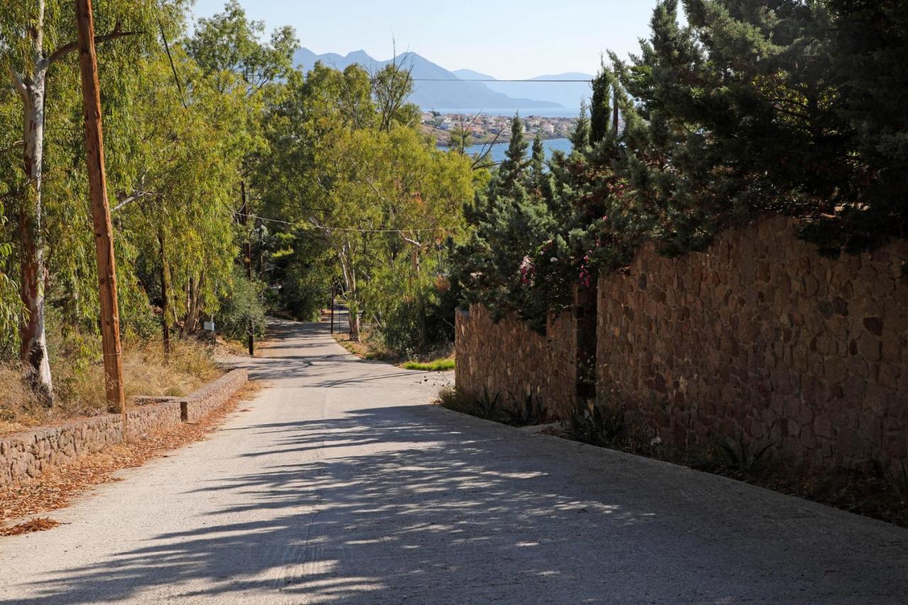 Eucalyptus Villa Αίγινα Εξωτερικό φωτογραφία